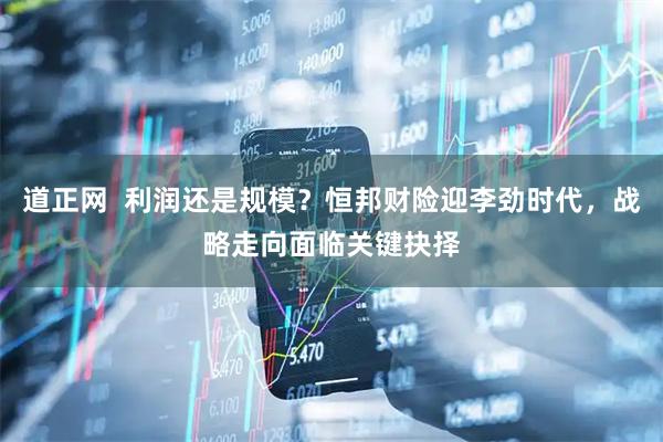 道正网  利润还是规模？恒邦财险迎李劲时代，战略走向面临关键抉择