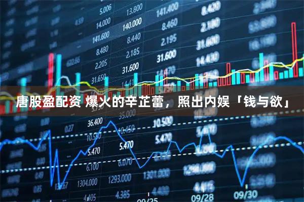 唐股盈配资 爆火的辛芷蕾，照出内娱「钱与欲」