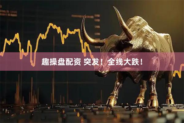 趣操盘配资 突发！全线大跌！