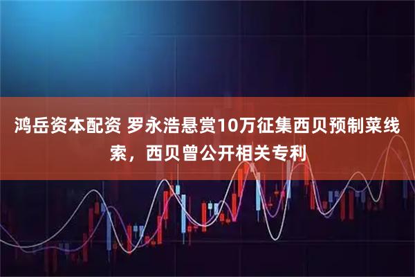 鸿岳资本配资 罗永浩悬赏10万征集西贝预制菜线索，西贝曾公开相关专利